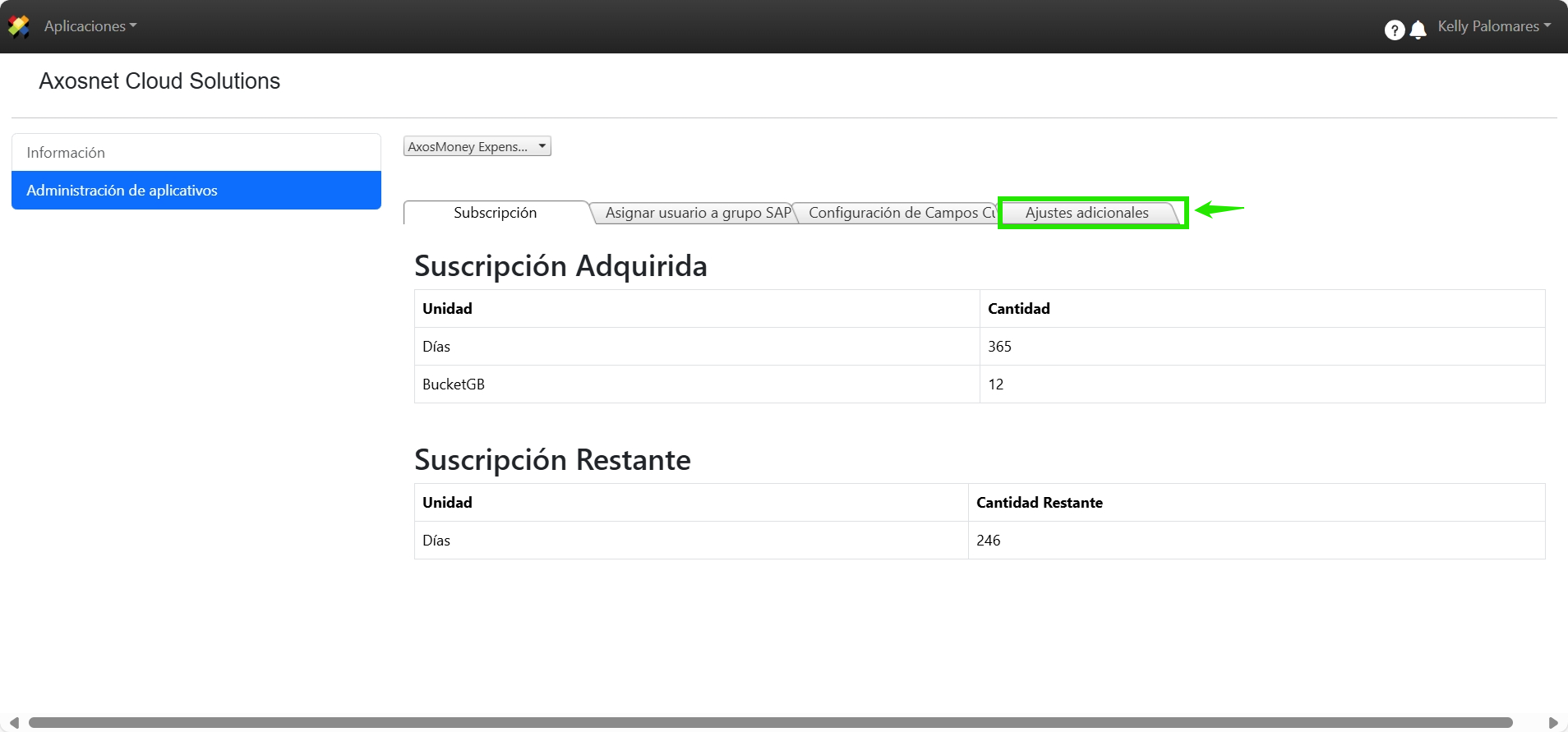Opción 'Ajustes adicionales' resaltada